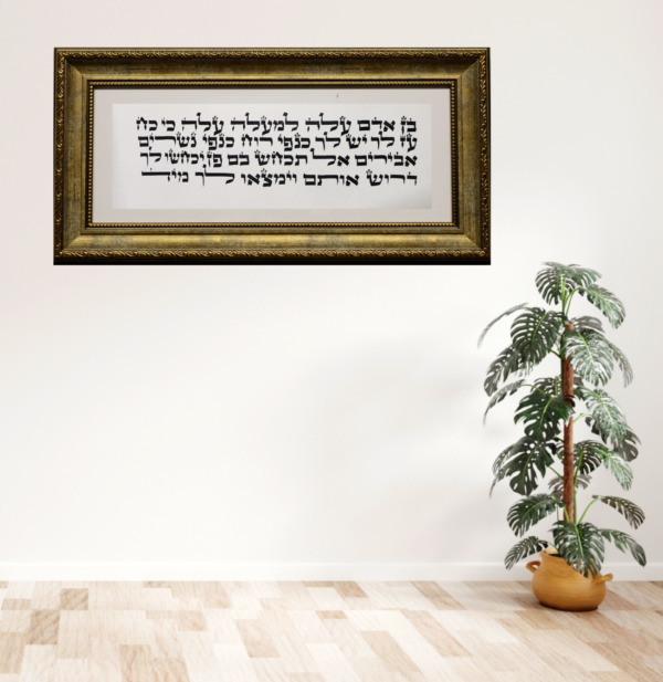עלה למעלה עלה